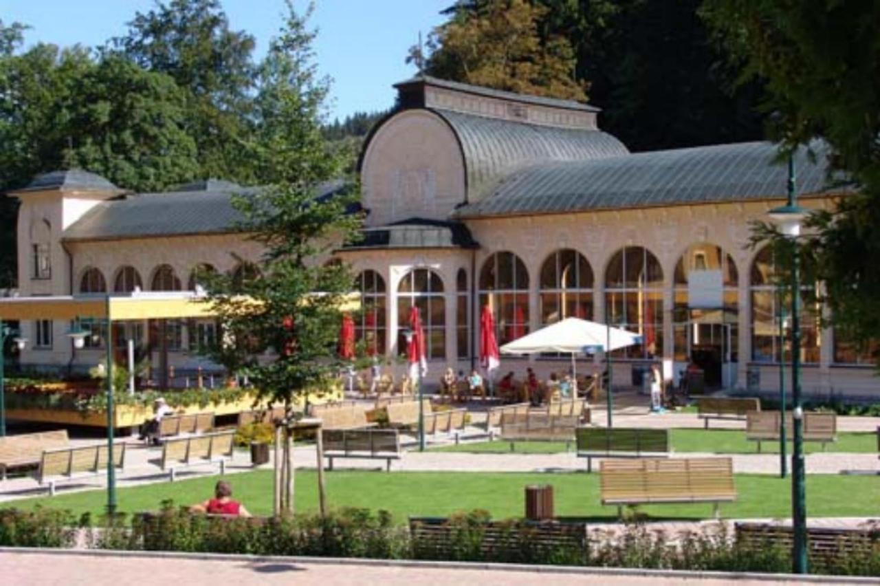 Wellness Pension Iveta Žacléř 외부 사진